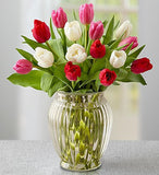 15 Stem Love Tulips