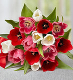 15 Stem Love Tulips