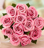 Blushing Roses