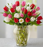 30 Stem Love Tulips