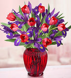 Tulips and Iris of Love