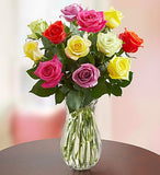 Multicolor Delights (Dozen)