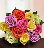 Multicolor Delights (Dozen)