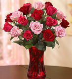 Rose Seduction