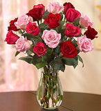 Rose Seduction