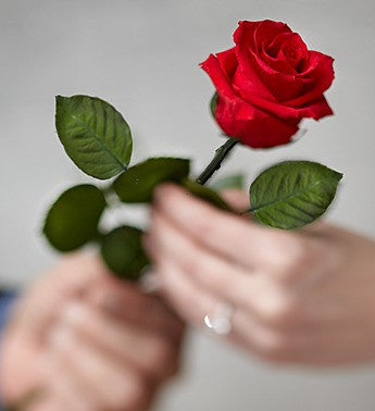 Preserved Long Stem Rose