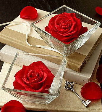 Preserved Rose Blooms