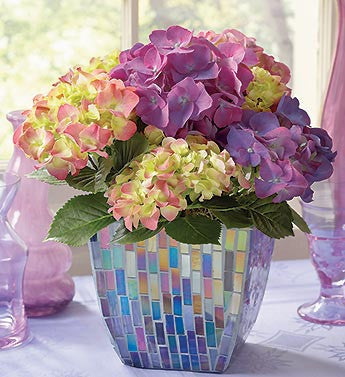 Hydrangea Assortment