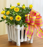 Country Rose Picket Fence Garden