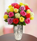 Multicolor Delights