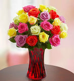 Multicolor Delights