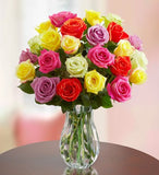 Multicolor Delights