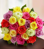 Multicolor Delights