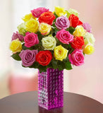 Multicolor Delights