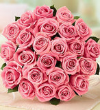 Blushing Roses