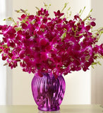 Majestic Tropical Orchids