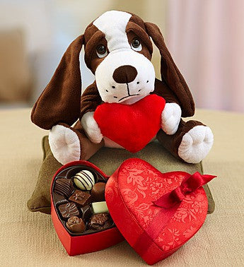 Puppy Love