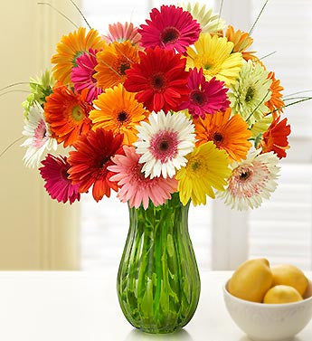 Bucket Full of Sunshine