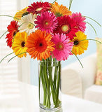 Bucket Full of Sunshine