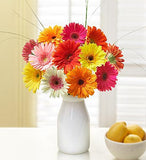 Bucket Full of Sunshine