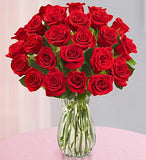 24 Classic Red Roses
