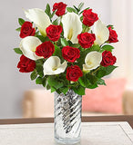 Red and White Floral Delight