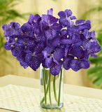 Violet Vanda Orchids