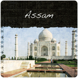 Assam: Broken Orange Pekoe