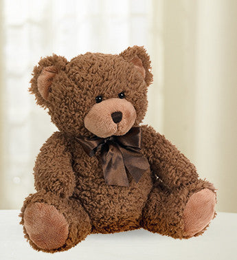 Adorable Brown Bear