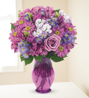Purple Sensation