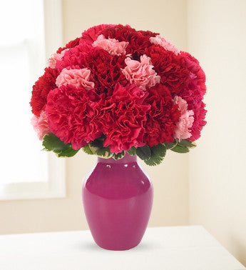 Pink and Red Carnations Surprise