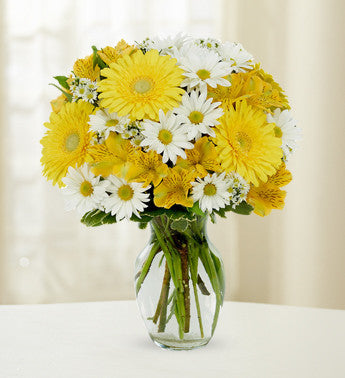 Yellow Daisy Dancers