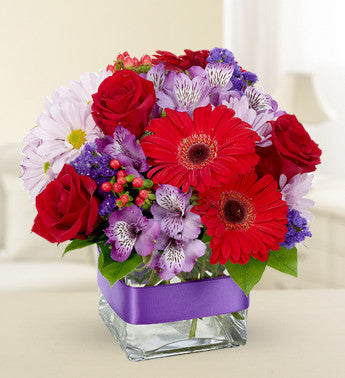 Red and Purple Surprise