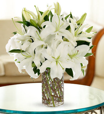 White Lily Spectacular
