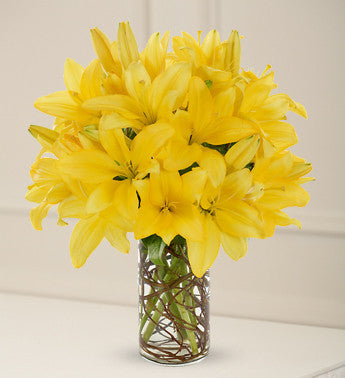 Yellow Lily Joy