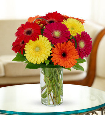 Multi-Color Gerbera Display