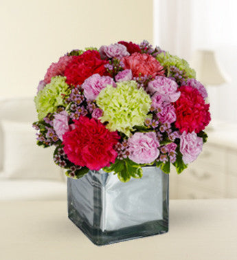 Charming Carnations in a Cube