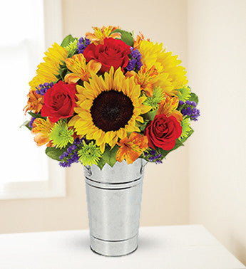 Rainbow of Sunflowers