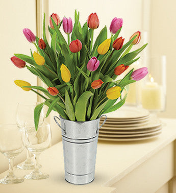 Tall Tulips