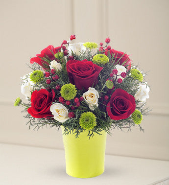 Poms and Rose Comforts