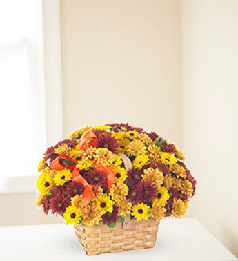 Daisy Delight Basket