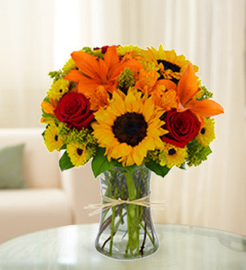 Burst of Sunshine