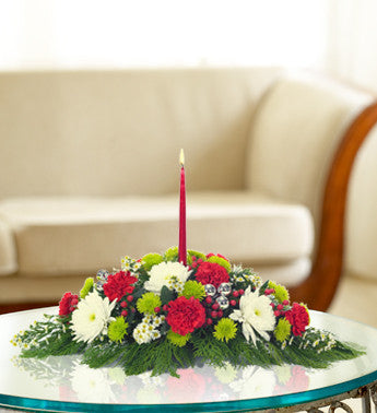 Tis the Season for Carnations