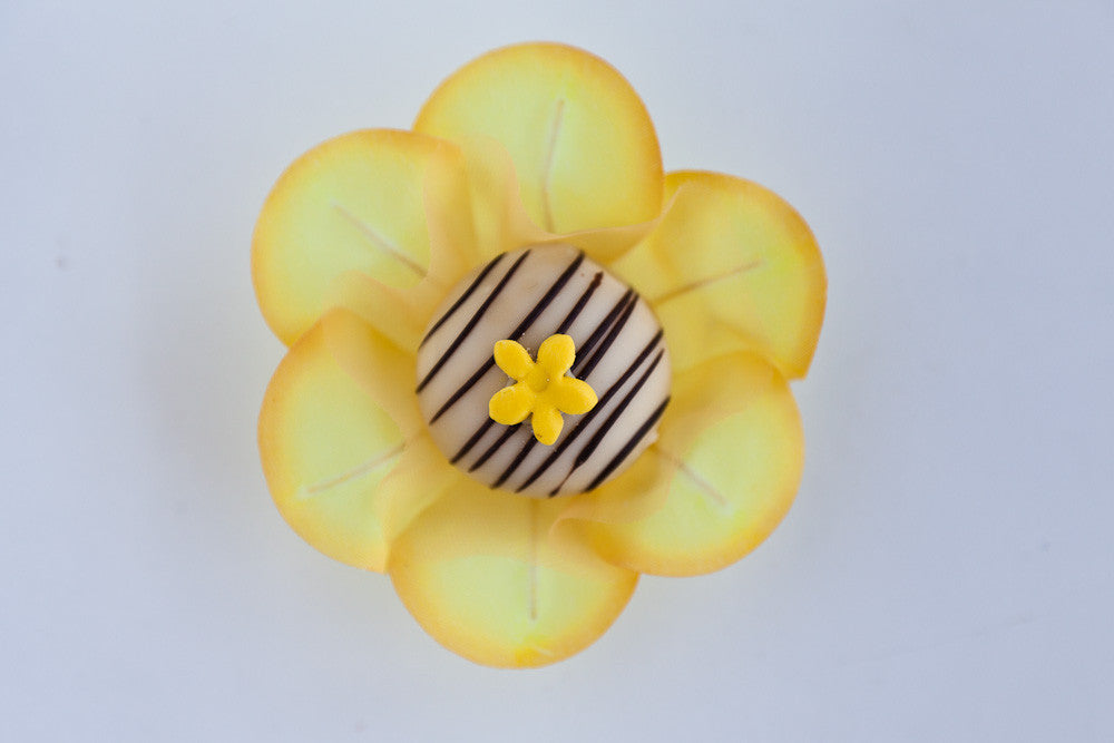 Yellow Truffle Wrapper