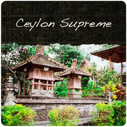 Ceylon Supreme: Flowery Orange Pekoe