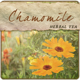 Chamomile (Herbal)