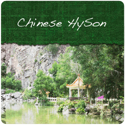 Chinese HySon