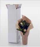 Shipping Surcharge