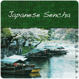 Japanese Sencha