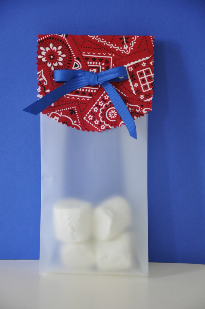 Red  Bandana Treat Bag